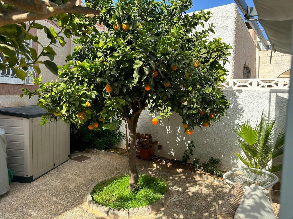 Large Villa Private Pool And Garden Near Beach Ροκέτας ντε Μαρ Εξωτερικό φωτογραφία
